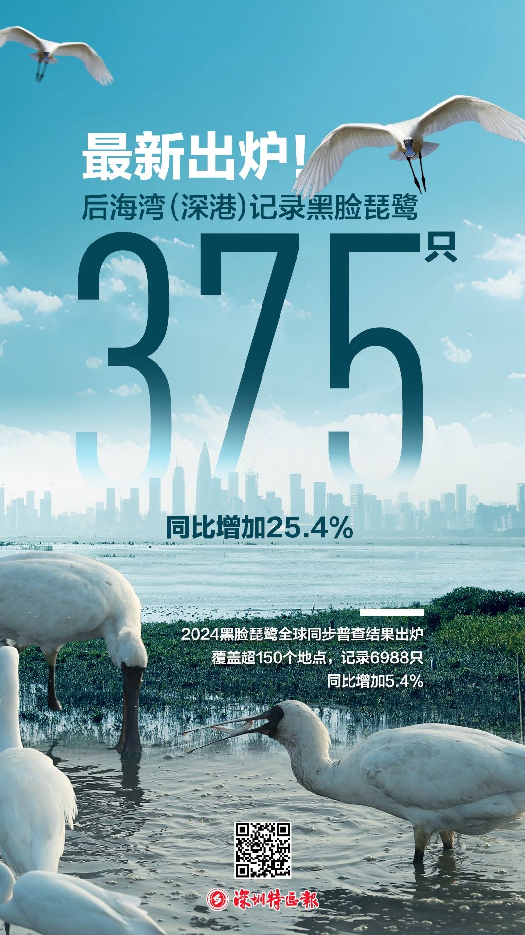 2024新澳最精准资料大全,实证解读说明_YE版48.375