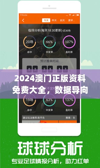 2024澳门正版精准免费大全,实际应用解析说明_高级版63.456