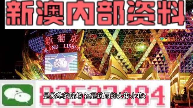 新澳精准资料免费提供网,专业说明解析_专属款87.328