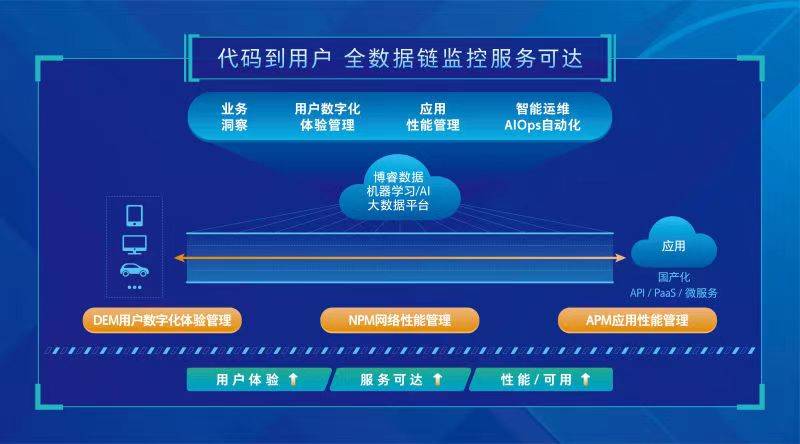 新澳天天开奖免费资料,数据支持策略分析_10DM11.329