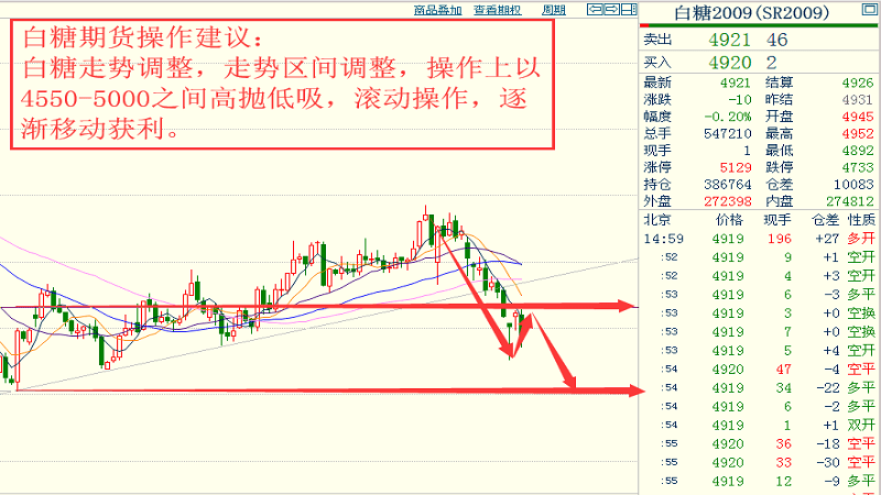 三肖三期必出特马,最新正品解答定义_静态版54.55