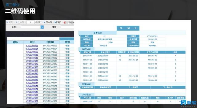 新澳今晚开什么特马仙传,深入数据执行方案_macOS69.853