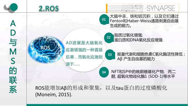 新奥精准资料免费提供(综合版) 最新,专业解析说明_Prime13.811